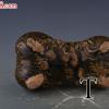 LaterReproduction