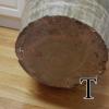 DSCN1161