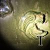 level3-withWing2