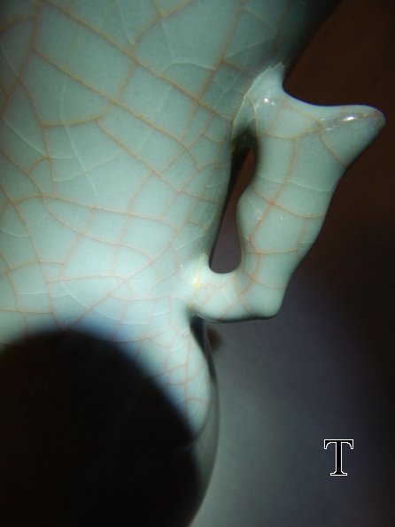DSCN4220