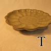 DSCN4500