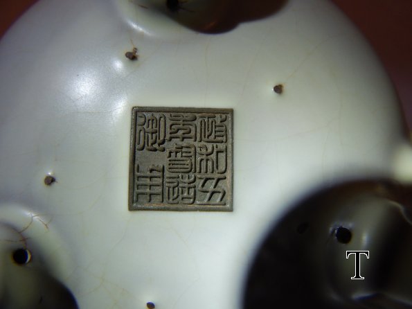 DSCN5100