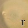 DSCN1846
