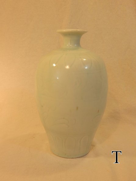 DSCN6285