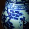 DSCN3170