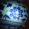 DSCN1601