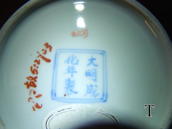 DSCN3649