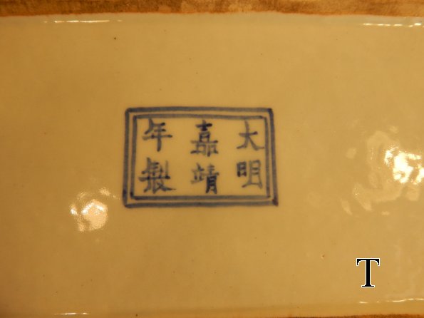 DSCN2173