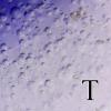 S20170209_008