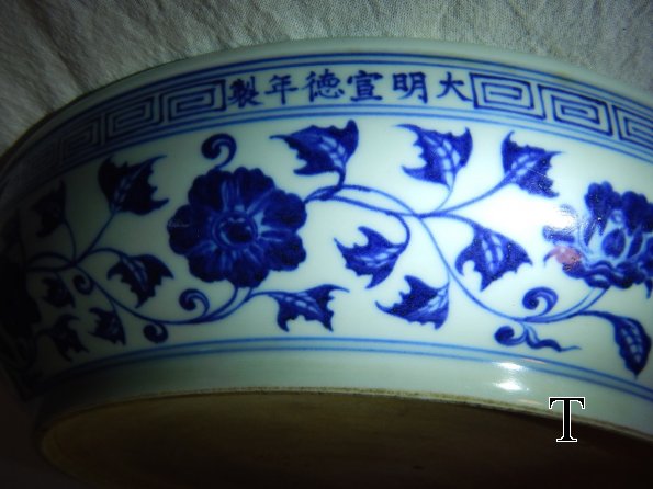 DSCN1904