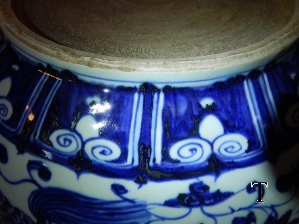 DSCN4301