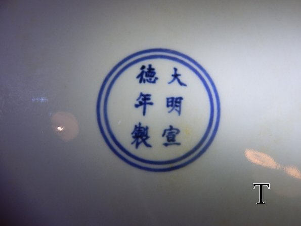 DSCN2350