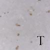 S20170209_005