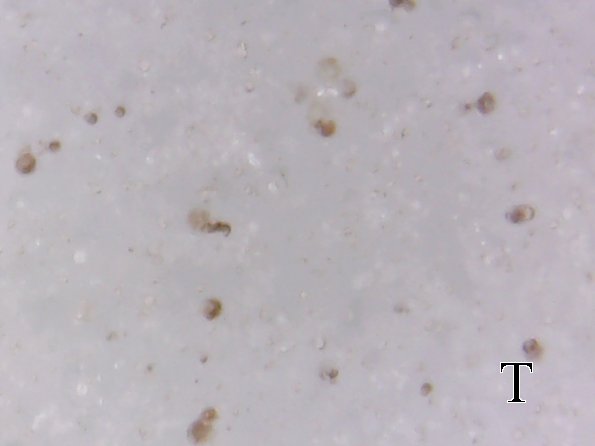S20170209_005