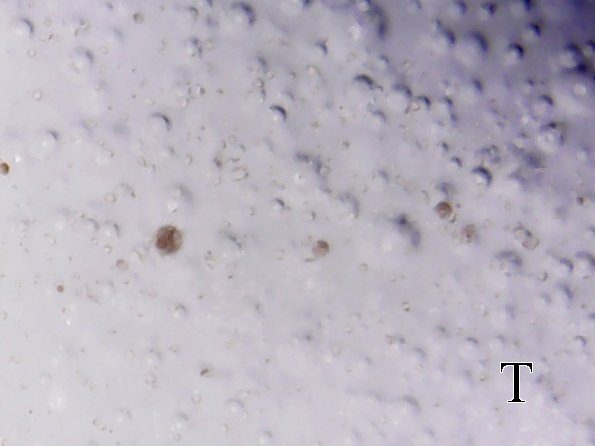 S20170209_006