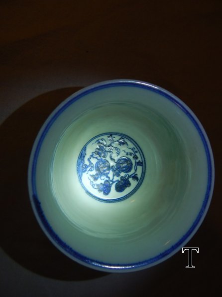 DSCN2311