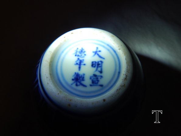 DSCN3920