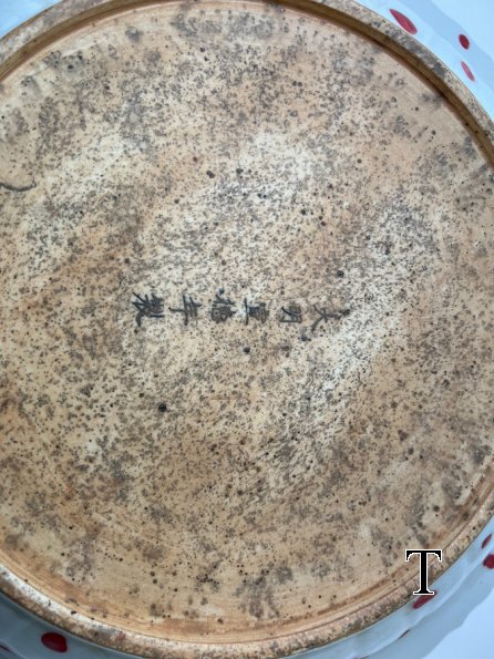 IMG_8328