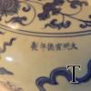 DSCN3586