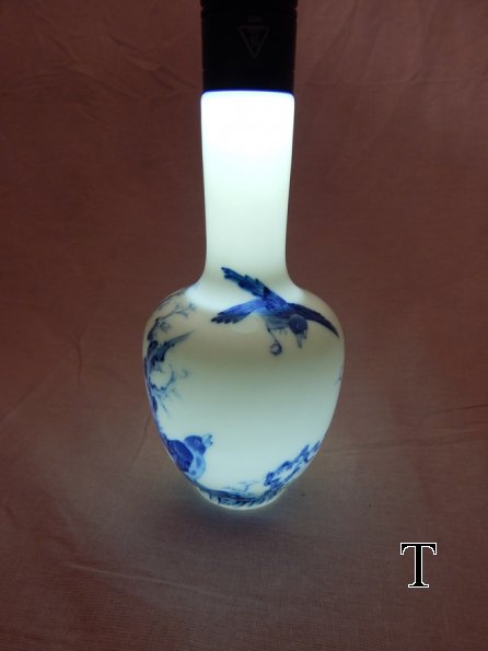 DSCN1459