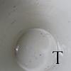 DSCN9605