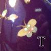 DSCN1195
