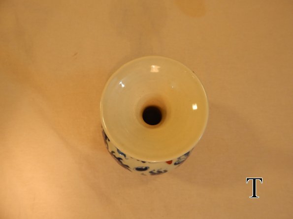 DSCN6713