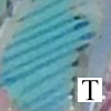 opaque孔雀蓝