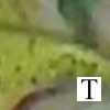 opaqueGreyishYellow