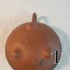 DSCN7065